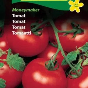 Tomat, Moneymaker (D) 1417