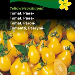 Tomat, Pære-, Yellow Pearshaped (F) 1351