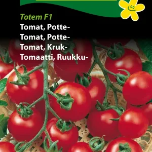 Tomat, Potte-, Totem F1 (F) 1349