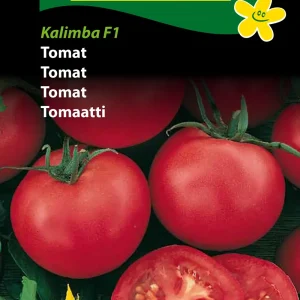 Tomat, Tropical Red F1 (F) 1339