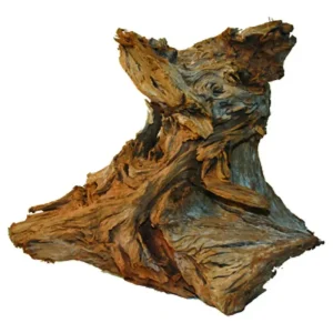 Trærod - Mangroves ca. 15-20 cm