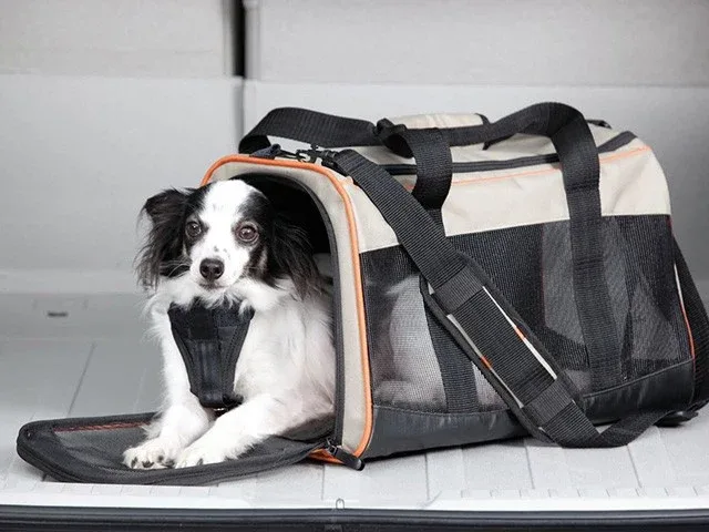 Transporttaske, flygodkendt - Kurgo Wander