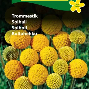Trommestik (C) 1876