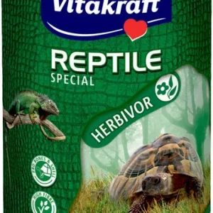 Turtle Special1 l