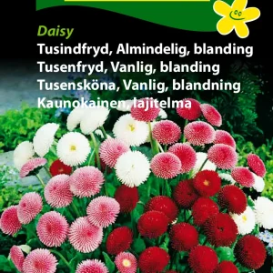Tusindfryd, Almindelig, blan., Daisy (A) 1756