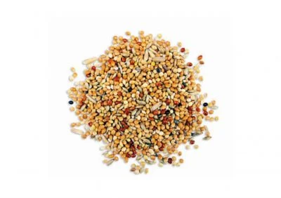 Undulat blanding 10 kg, Wellensittiche