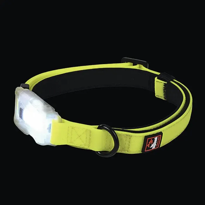 USB lyshalsbånd Polar Light ca 300 m synlighed S gul - Image 2