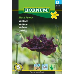 Valmue, Black Peony (D) 2154
