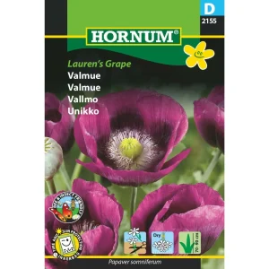 Valmue, Lauren’s Grape (D) 2155