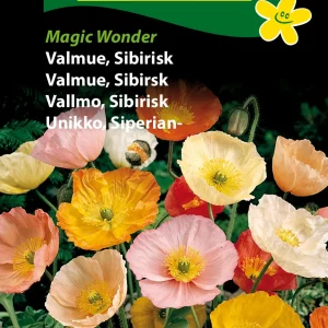 Valmue, Sibirisk, Magic Wonder (D) 1759