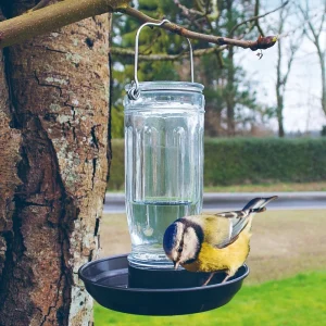 Vandautomat til vildfugle
