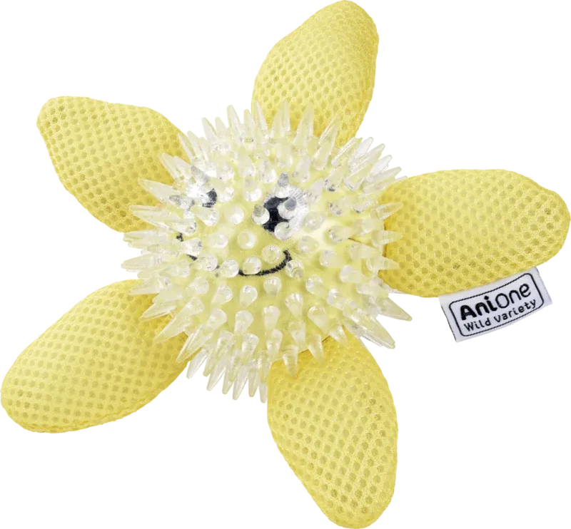 Vandlegetøj søstjerne 15 cm