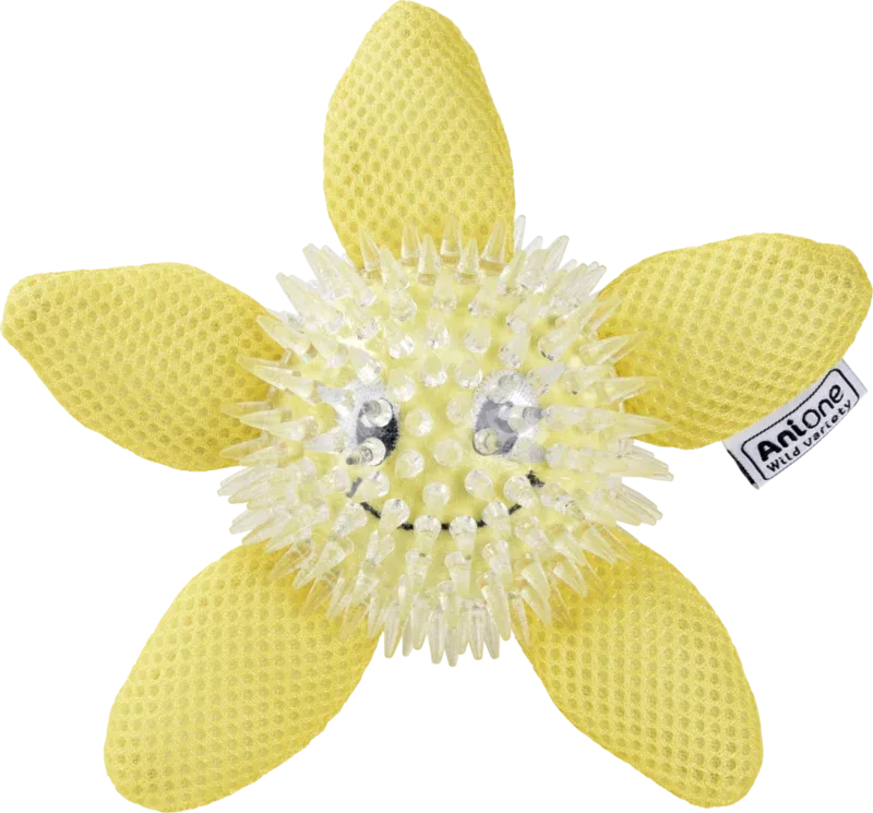 Vandlegetøj søstjerne 15 cm - Image 2