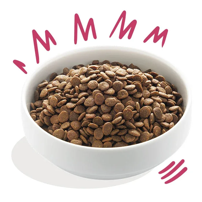 Venison & Free-run Adult And med æble og grønt 2,5 kg - Image 2