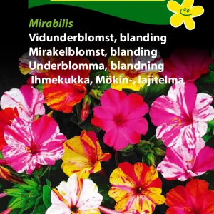 Vidunderblomst, blanding, Mirabilis (C) 1866