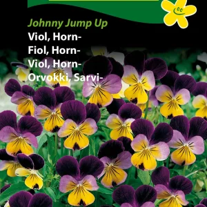 Viol, Horn-, Johnny Jump Up (C) 1760