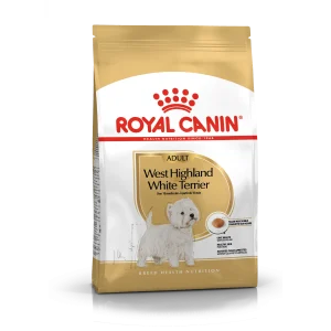 West Highland White Terrier Adult