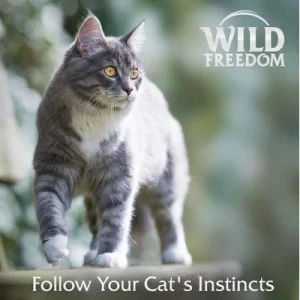 Wild Freedom Adult Sterilised 6 x 400 g - kornfri opskrift