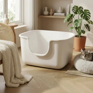 XXL-kattebakke til Maine Coon – komfortabel plads