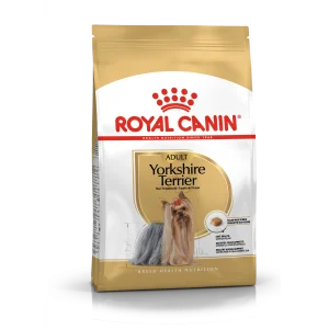Yorkshire Terrier Adult