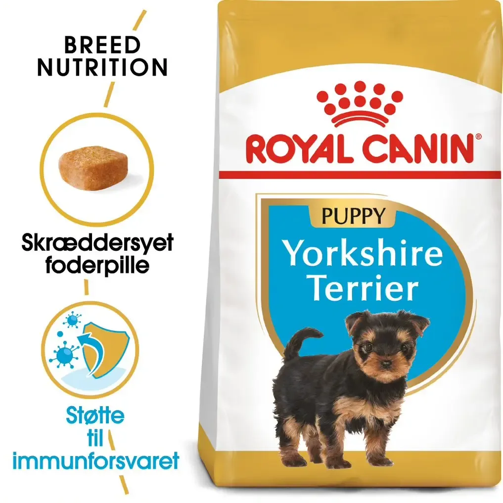 Yorkshire Terrier Puppy 1,5 kg - Image 2