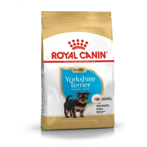 Yorkshire Terrier Puppy 1,5 kg