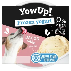 YowUp – Frozen Yoghurt, Bacon Cake 110g